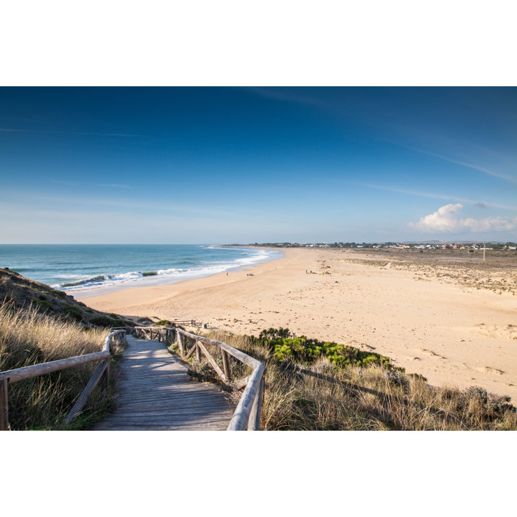 Highland Dunes " Beach At Cape Of Trafalgar " by Wayfair
